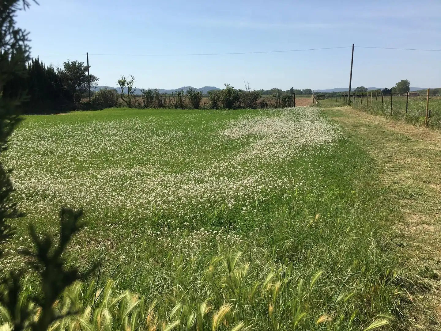 Terrenys i solars en venda a Els Griells, imagen 2