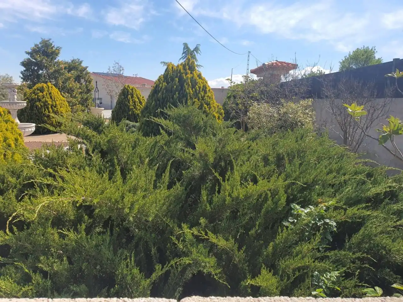 Chalet en venta en Baza, imagen 23