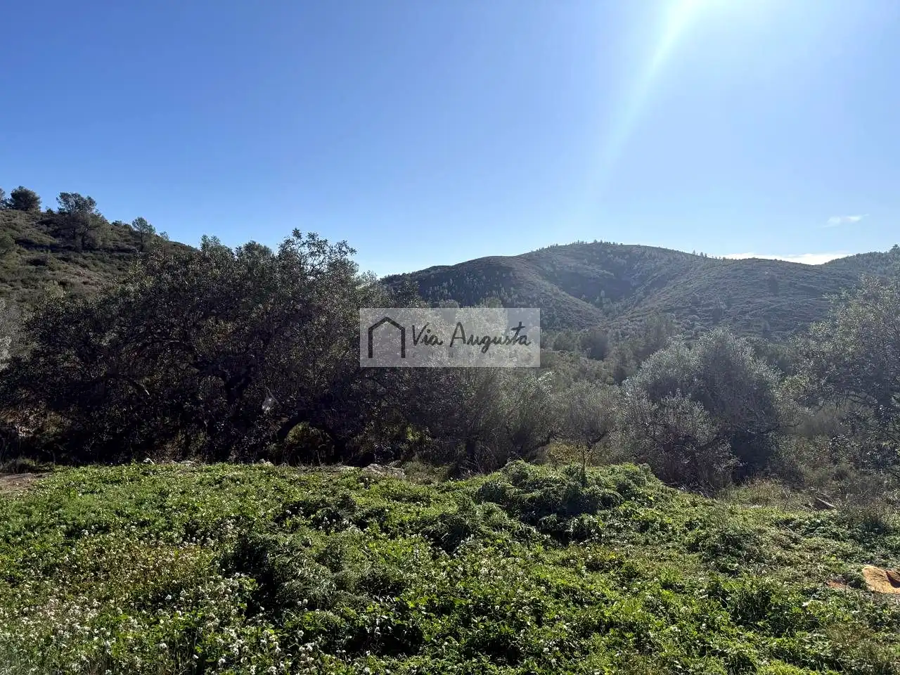 Terreno rustico in vendita a Bassa d'en Baró, imagen 31