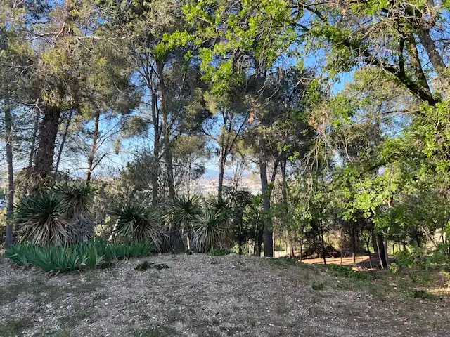 Residential land for sale in Carrer del Gamarús 7, imagen 3