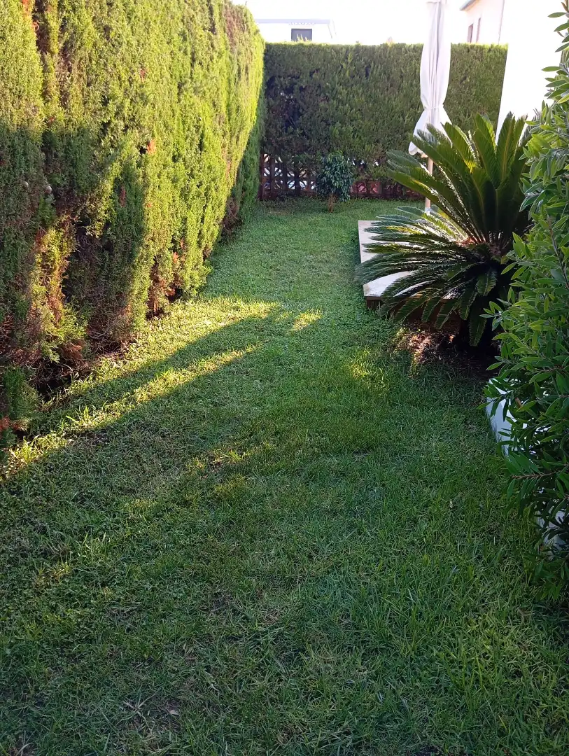 Jardí de Casa o xalet en venda en Sueca amb Jardí privat, Terrassa i Moblat