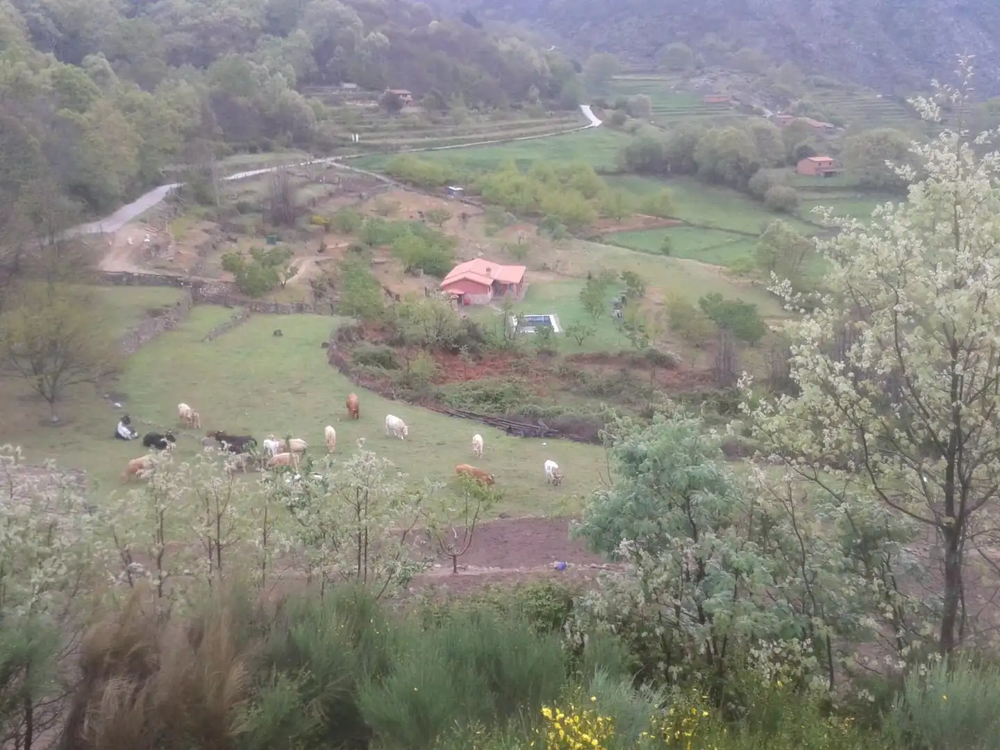 Country homes for sale in Guijo de Santa Bárbara