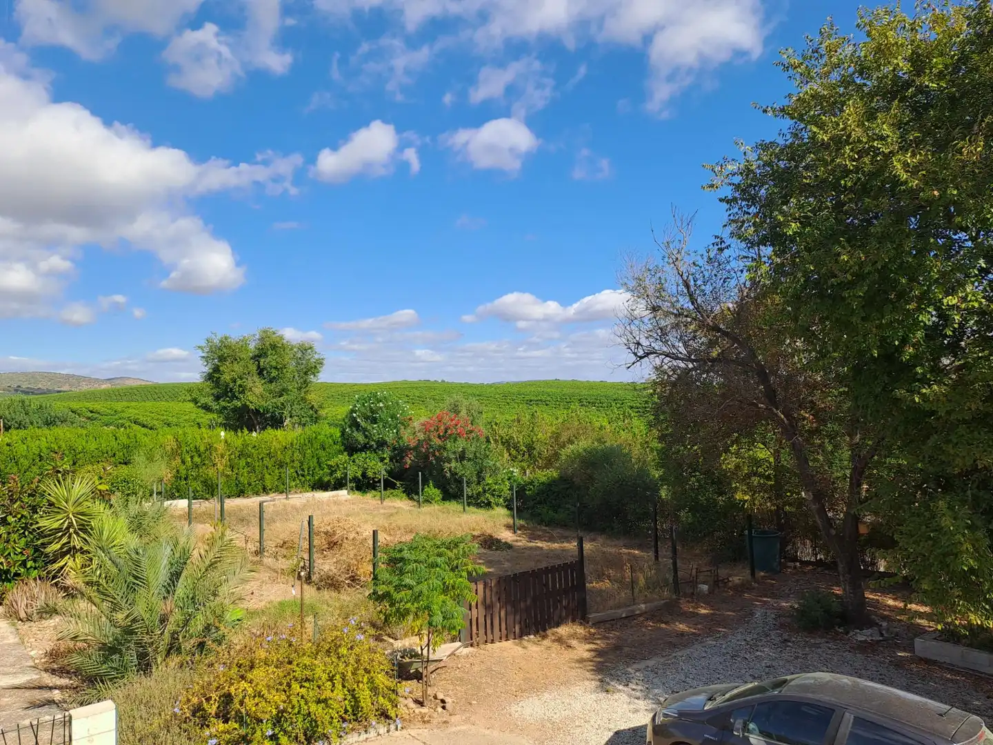 Jardí de Casa o xalet en venda en Cantillana amb Aire condicionat, Calefacció i Jardí privat