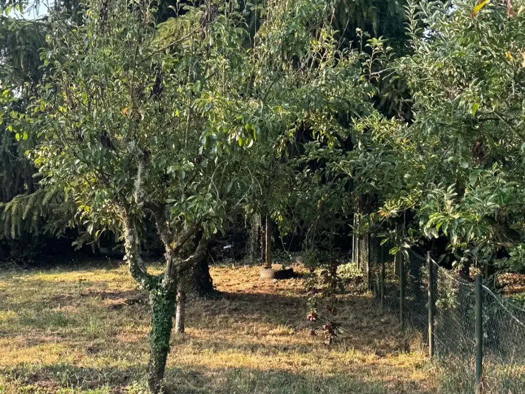 Residencial en venda en Taboada