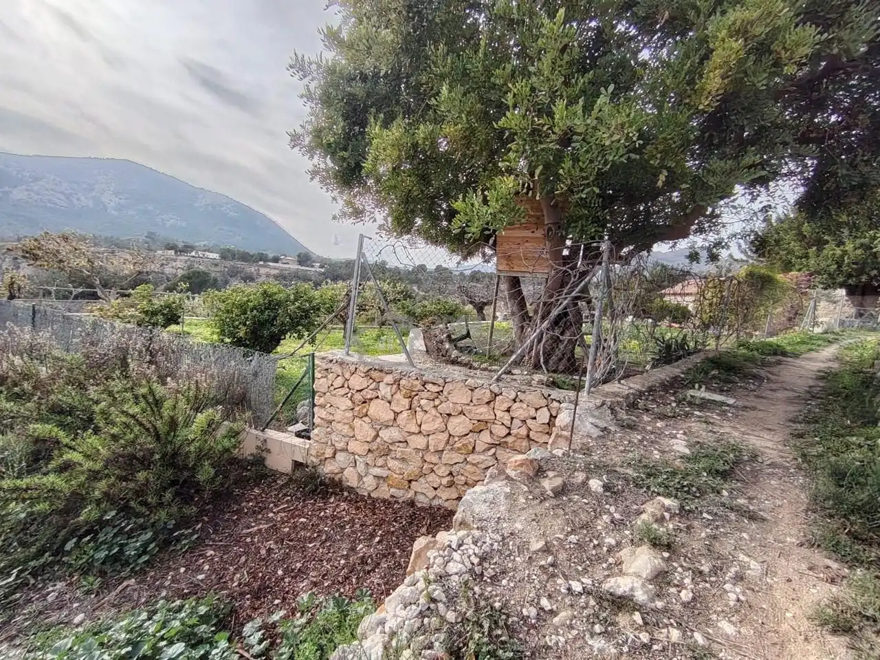 Terreno rustico in vendita a Nacional Cv-758 Finestrat, imagen 6