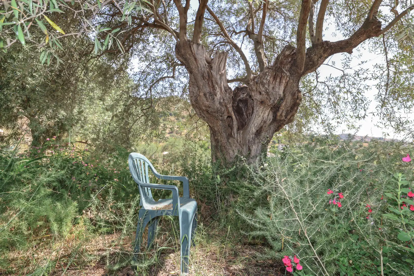 Jardí de Casa o xalet en venda en Monda amb Aire condicionat, Jardí privat i Piscina