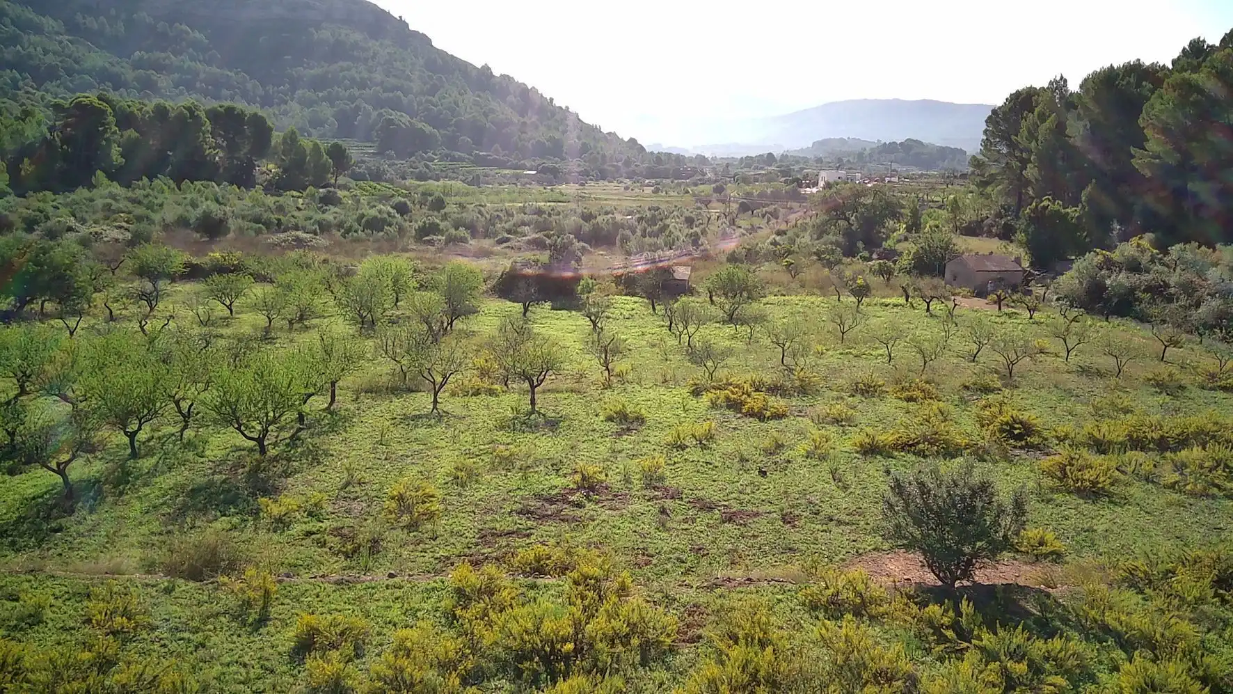 Terrenys i solars en venda a Murla, imagen 5