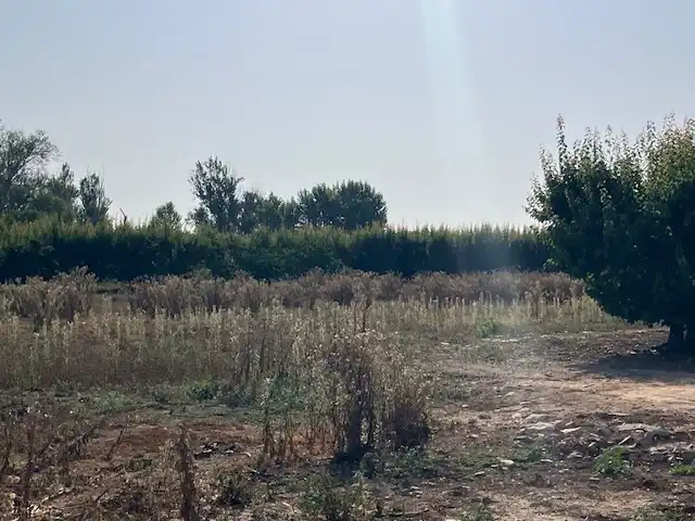 Terreni e lotti in vendita a Fraga, imagen 7