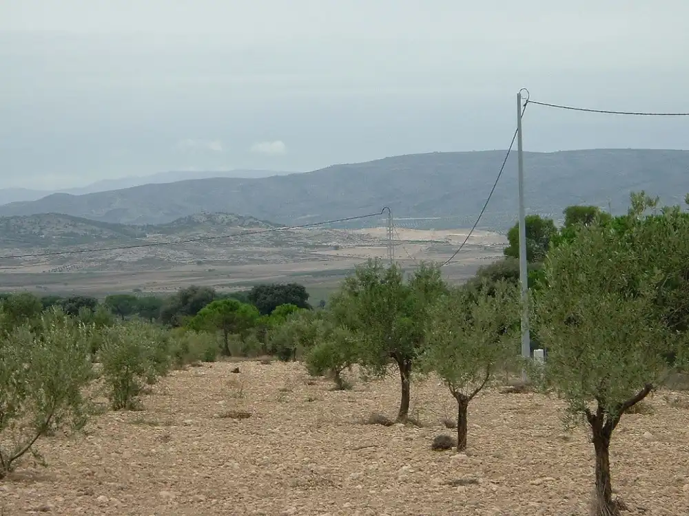 Residential land for sale in Biar, imagen 5