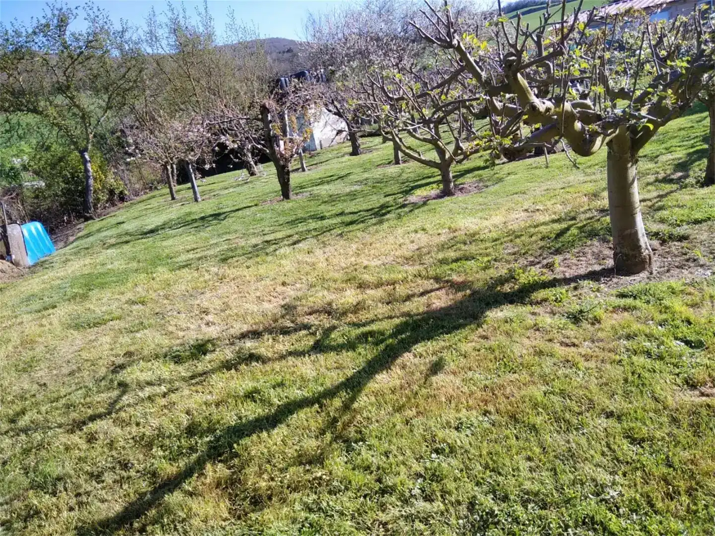 Finca rústica en venda en Corporales, La Rioja