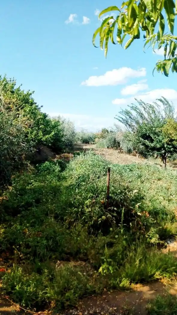 Terreno residencial en venta en Calle San Fandila 7, imagen 6