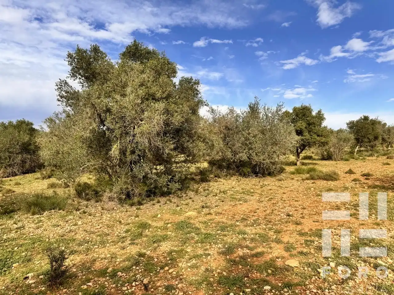 Residencial en venta en Benlloc