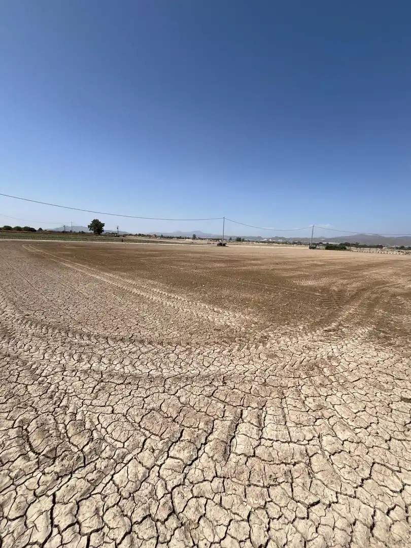 Terreno rustico in vendita a Carretera CAMPILLO, imagen 17