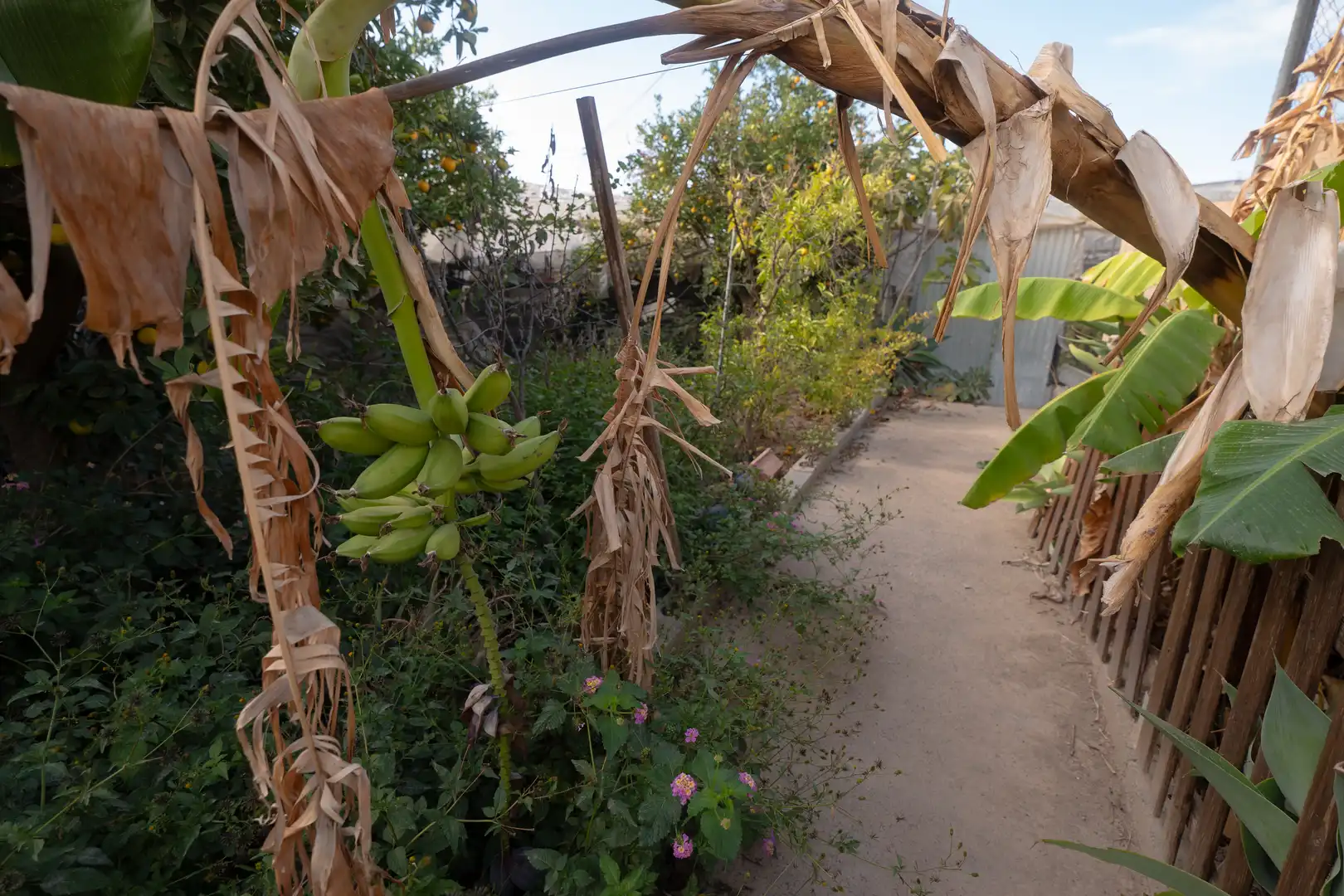 Casa o chalet en venta en Calle Llano de Vilches, 29, Berja