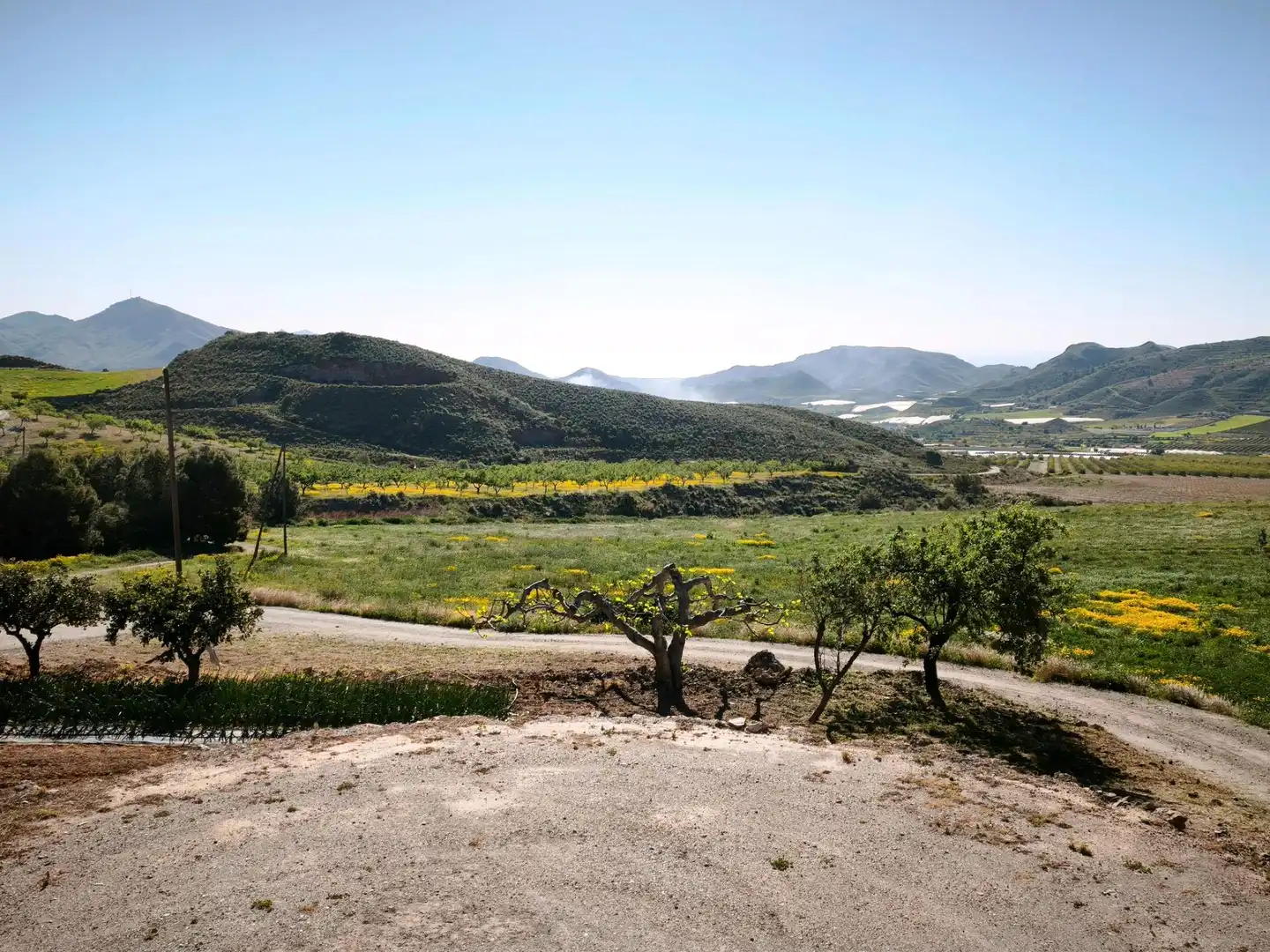 Terrains et parcelles à vendre à MORATA, imagen 46