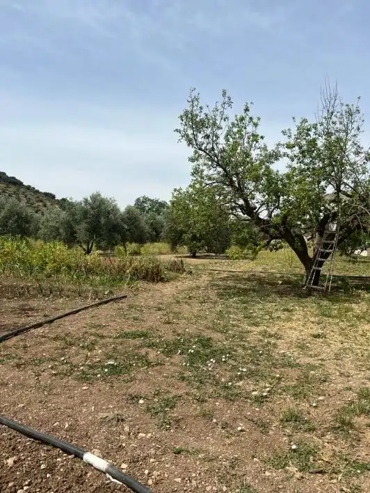 Terreny rústic en venda a Priego de Córdoba, imagen 5