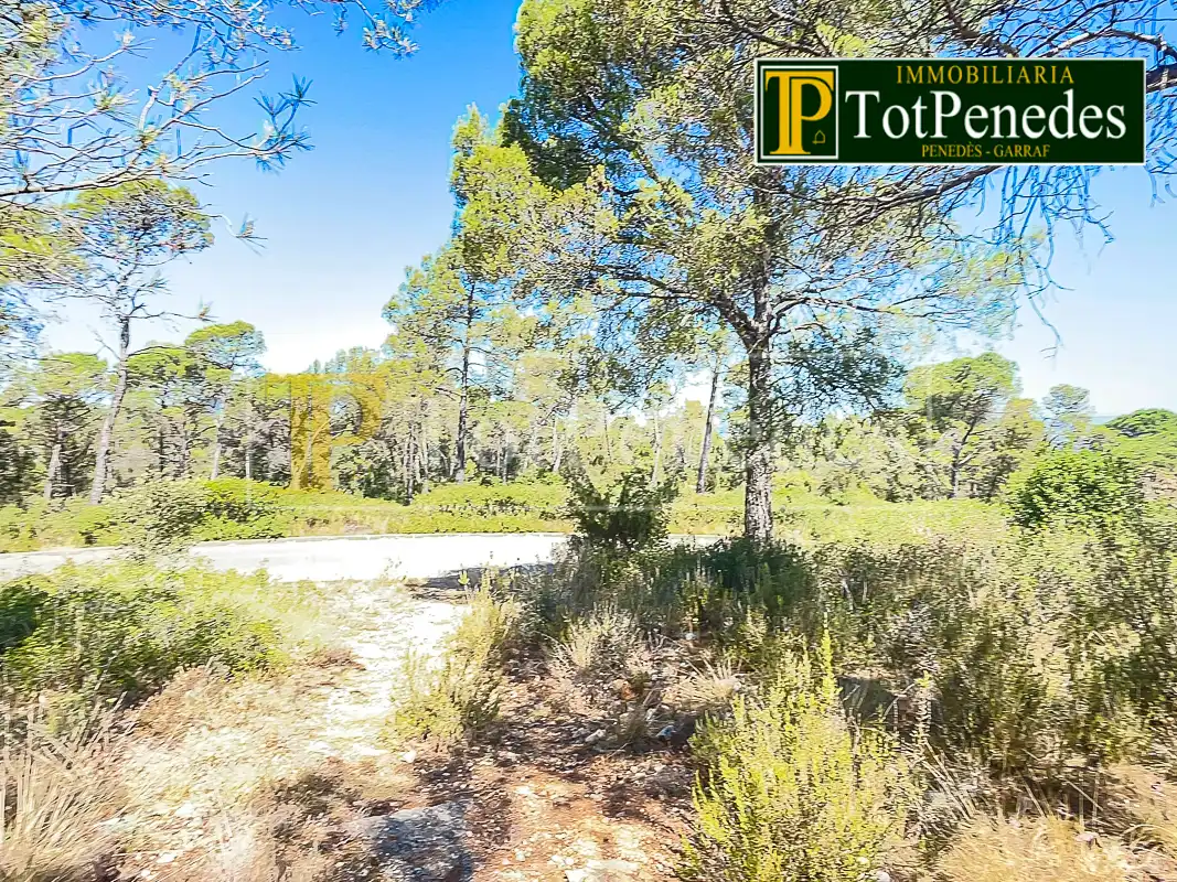 Terreny residencial en venda a Carrer Tarragona, imagen 18