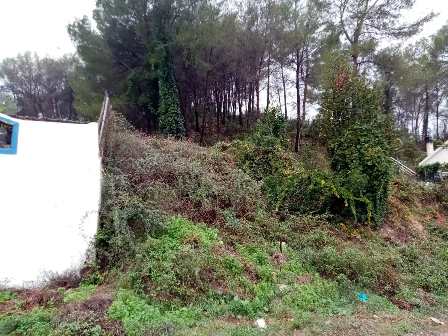 Terrain rustique à vendre à Puig Moltó - Can Macià, imagen 8
