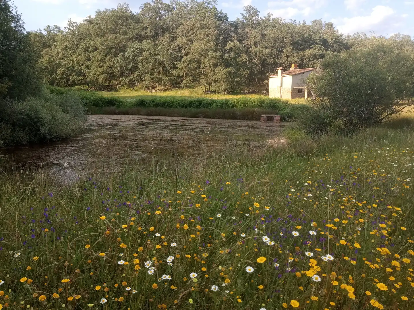 Terreni e lotti in vendita a Jarandilla de la Vera