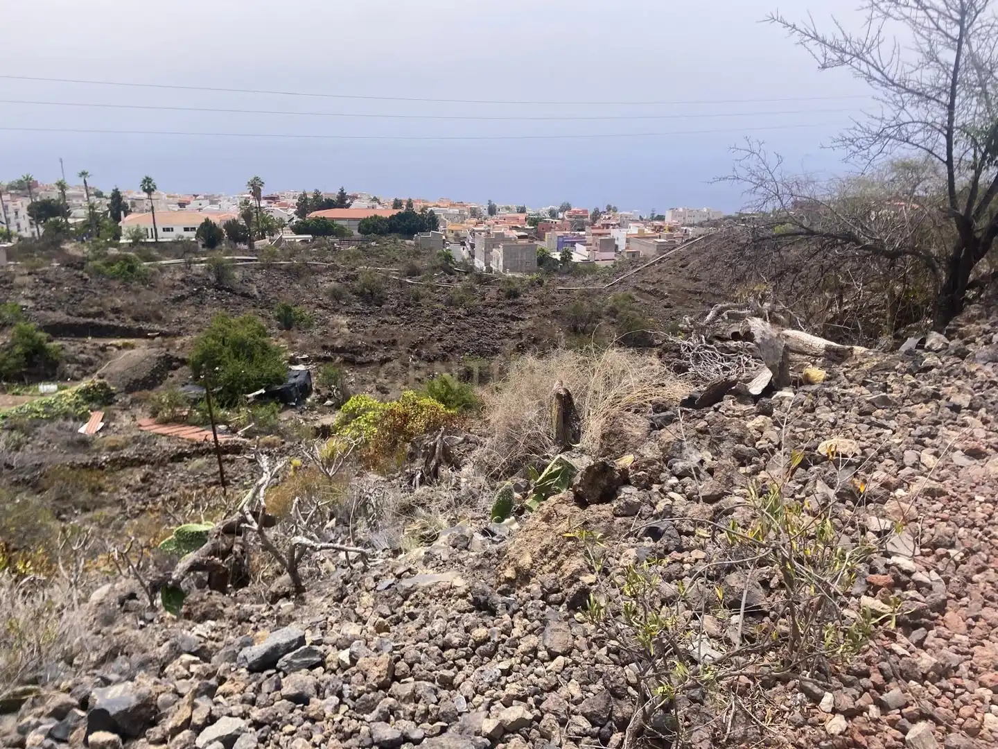Terreno rústico en venta en Guía de Isora, Spain, imagen 19