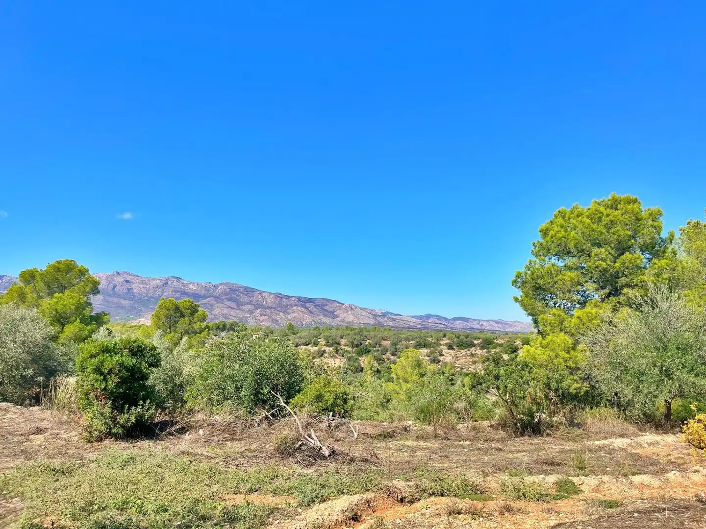 Houses for sale in Aldover