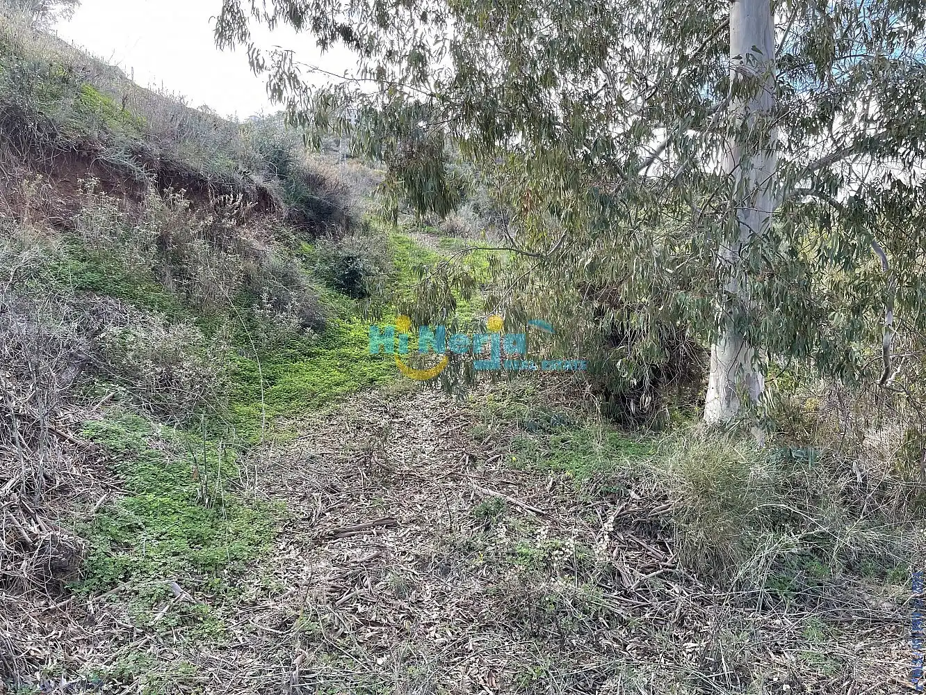 Terreni e lotti in vendita a Centro, imagen 16