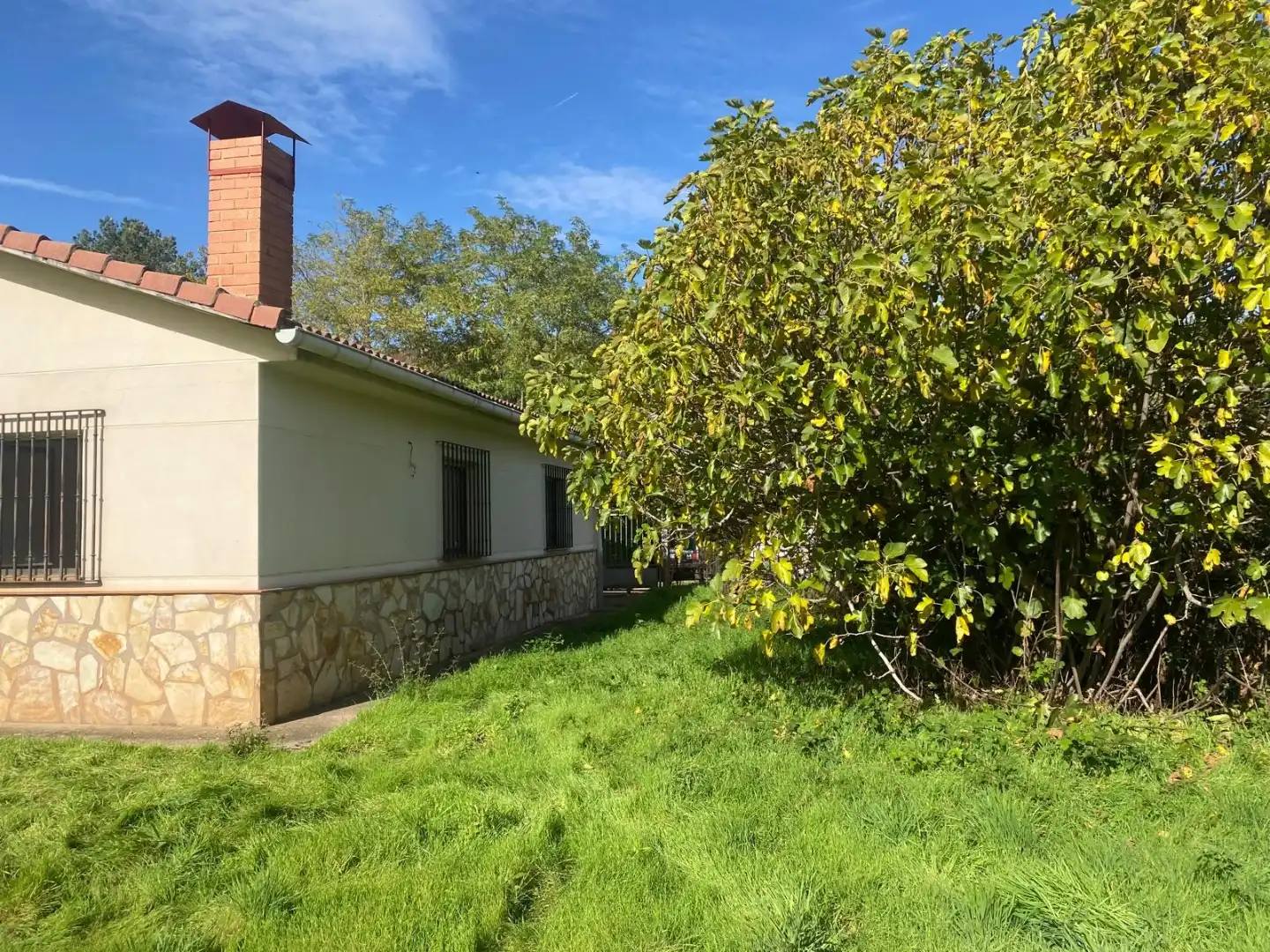 Xalet amb jardí en venda a Pedro Sagasta 48, imagen 21