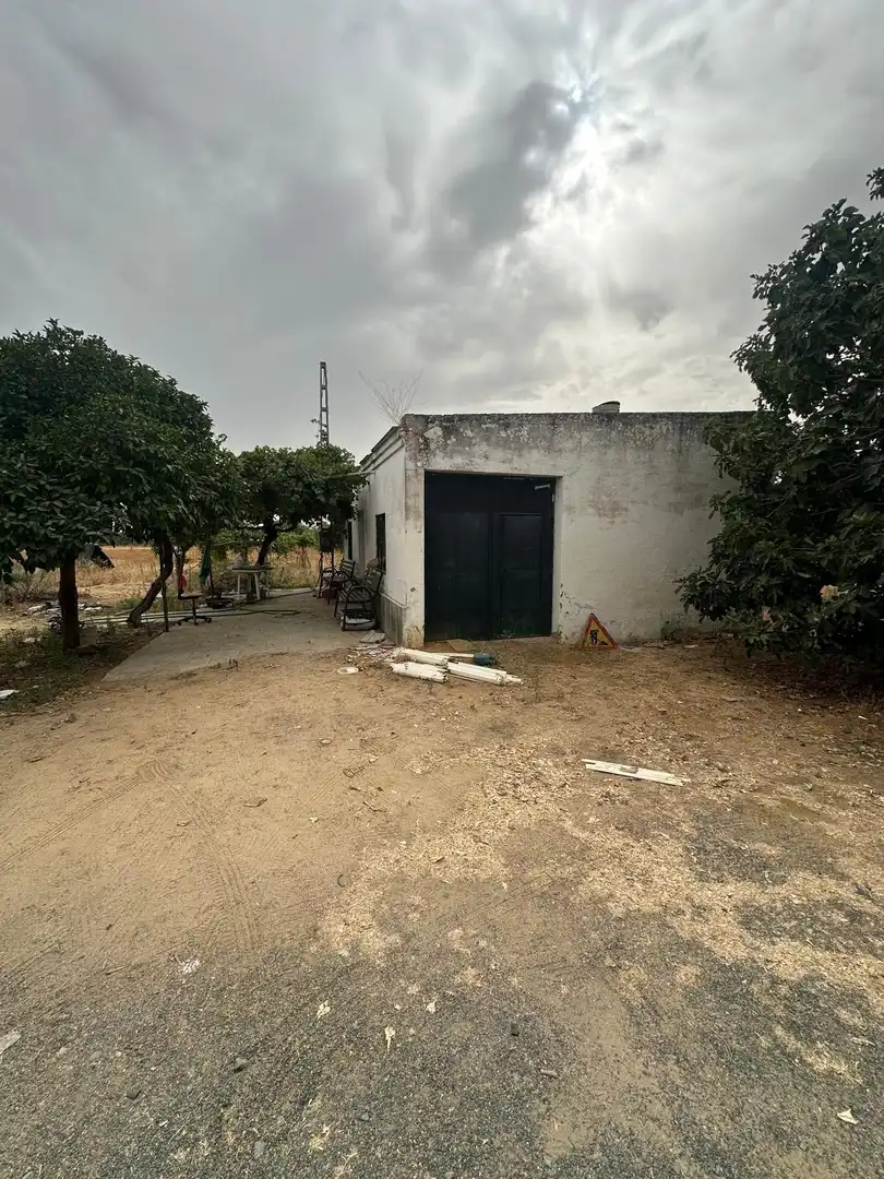 Terreni e lotti in vendita a Pedanías Norte, imagen 2
