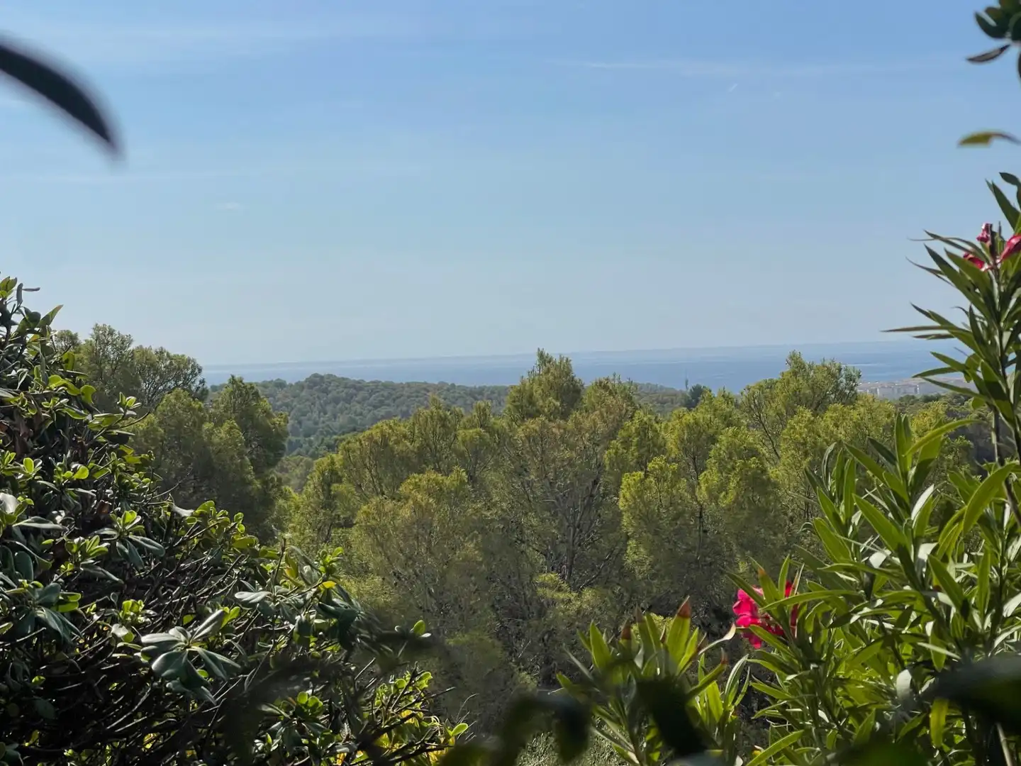 Terrenys i solars en venda a Altea la Vella, imagen 9