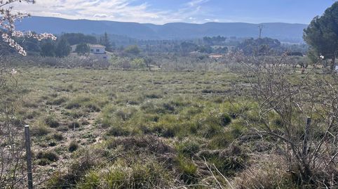 Foto 4 de Finca rústica en venta en Sant Rafael, Ontinyent