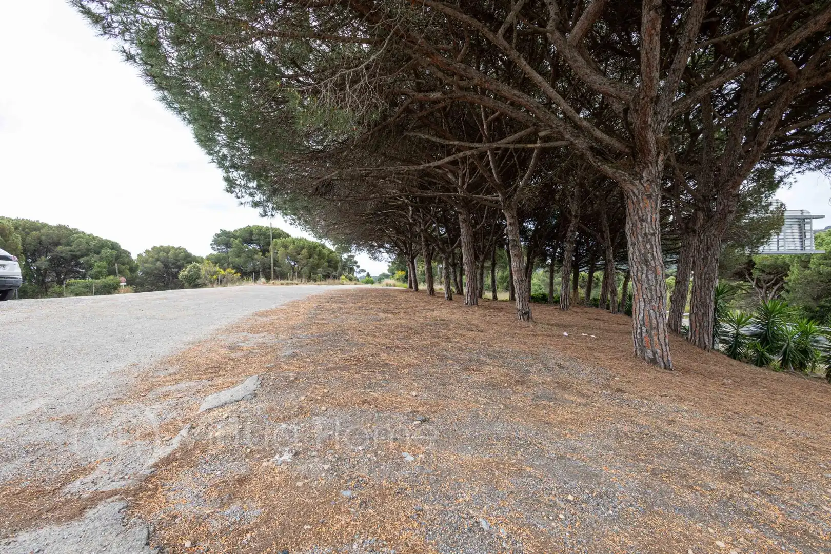 Business premises for sale in Palafolls, imagen 60