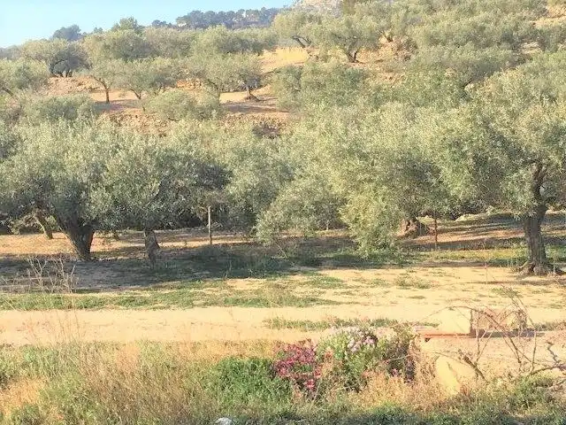 Casa o xalet en venda en Tortosa