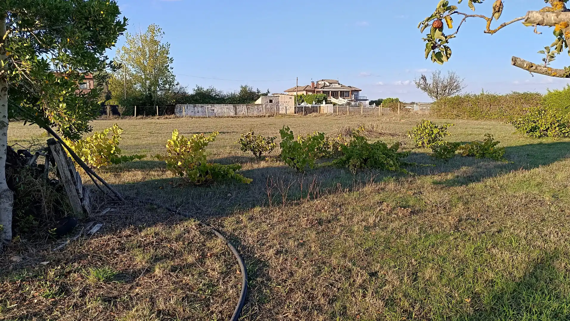 Terreno rustico in vendita a Castellanos de Villiquera, imagen 7