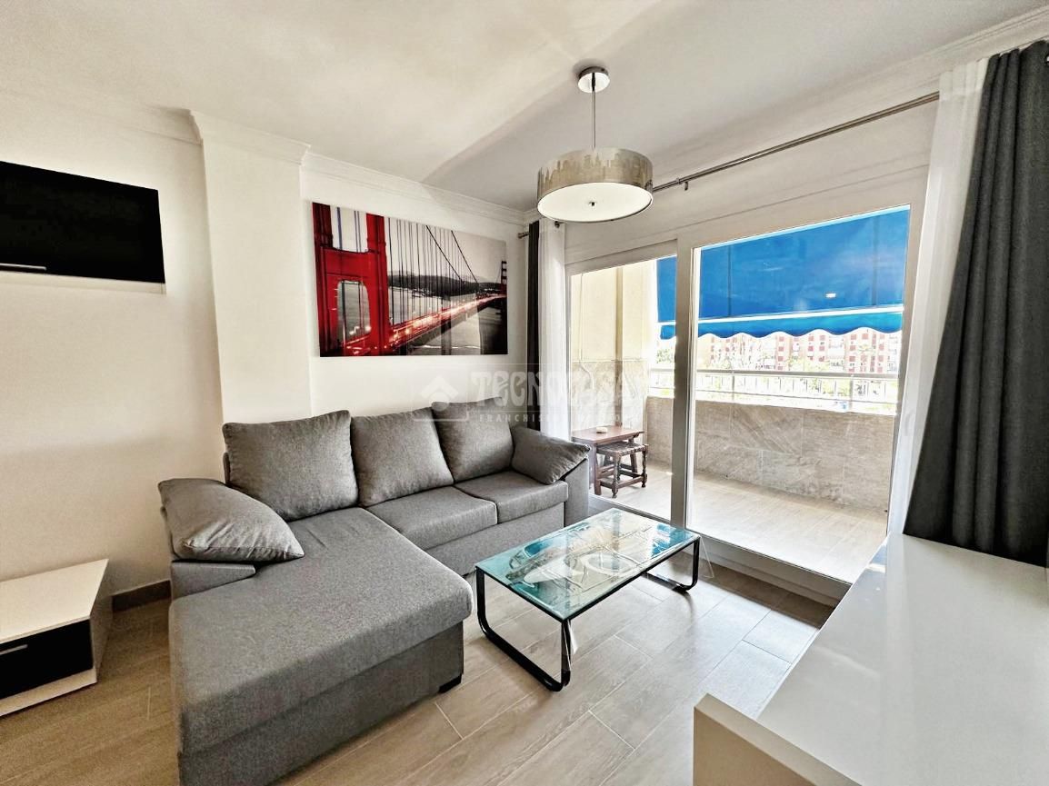 Living room of Flat to rent in Málaga Capital  with Terrace and Furnished