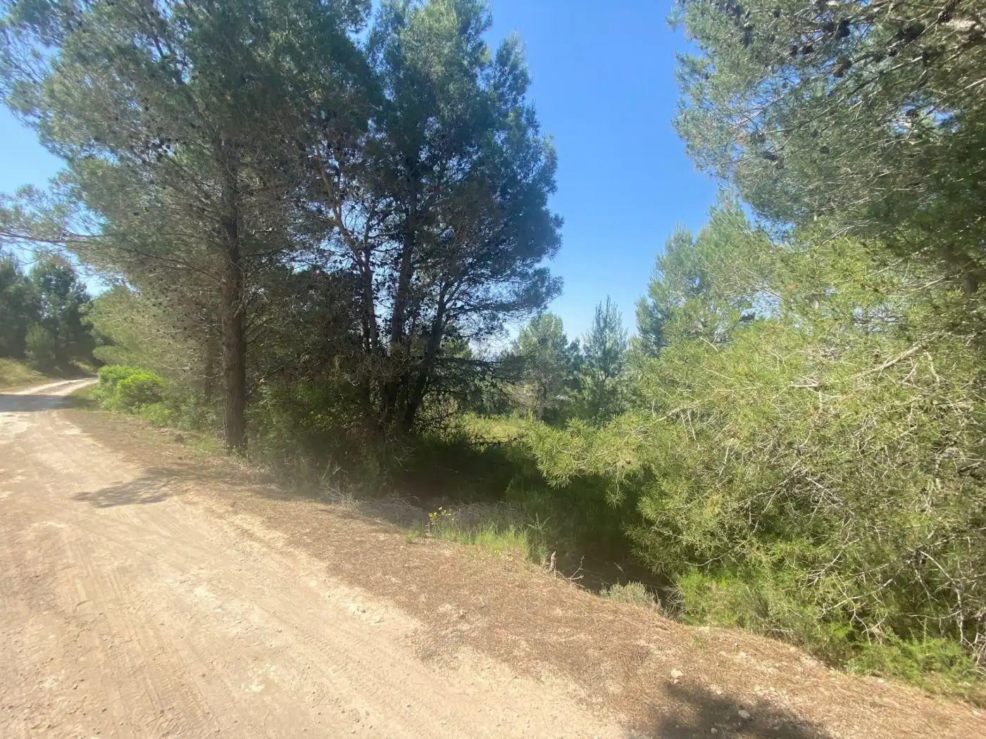 Terreno rustico in vendita a POLÍGONO 10 PARCELA 493, imagen 32