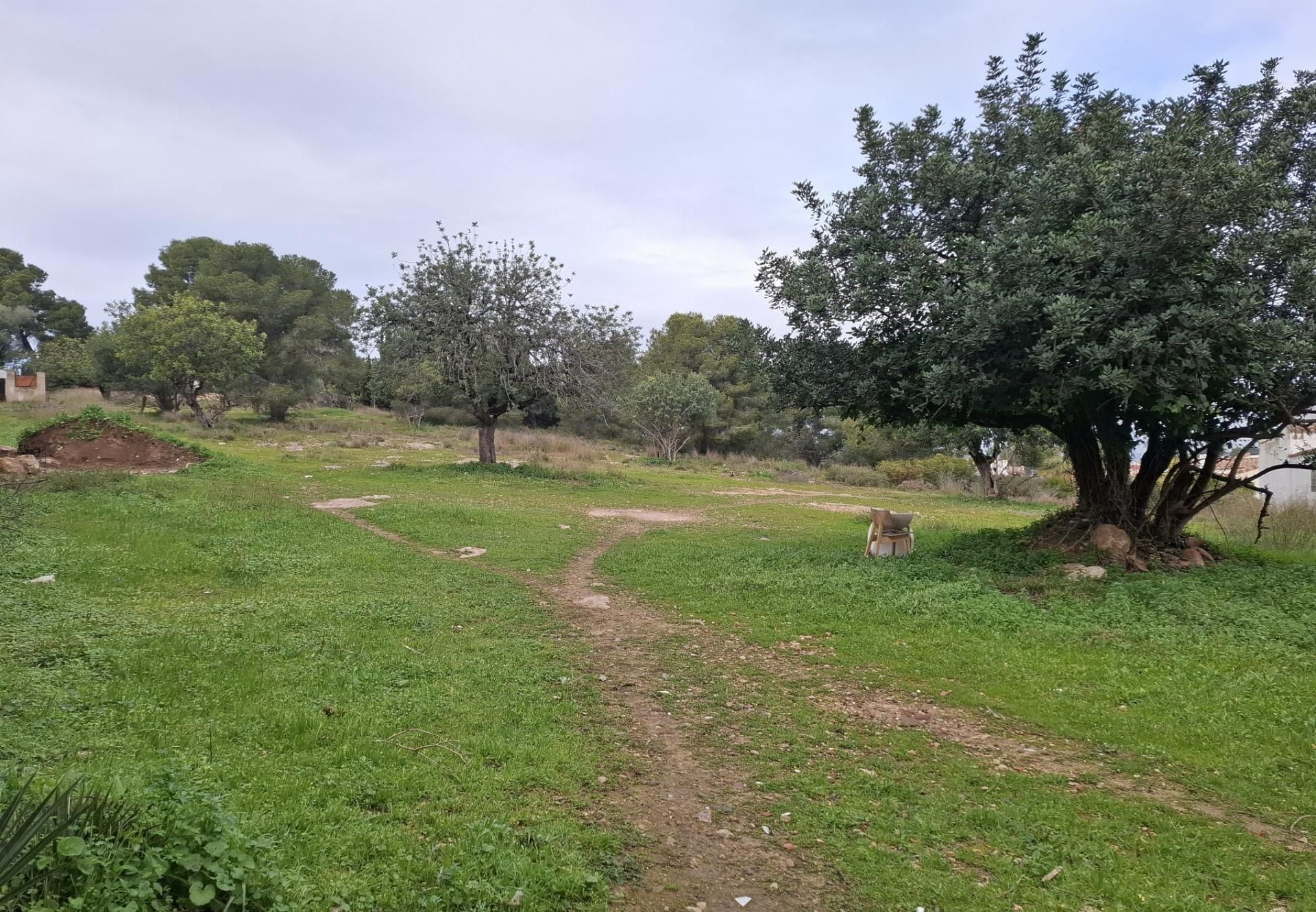 Residencial en venda en La Pobla de Vallbona