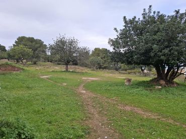Terreny residencial en venda a Calle N 1 LLOMA PORRET