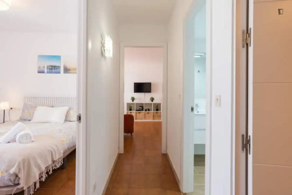 Apartments for rent in El Palo