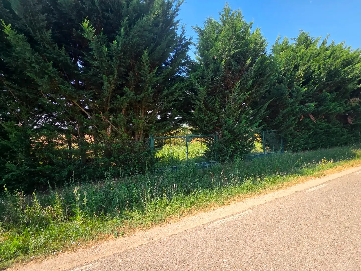 Terreno en venta en Orbaneja Riopico