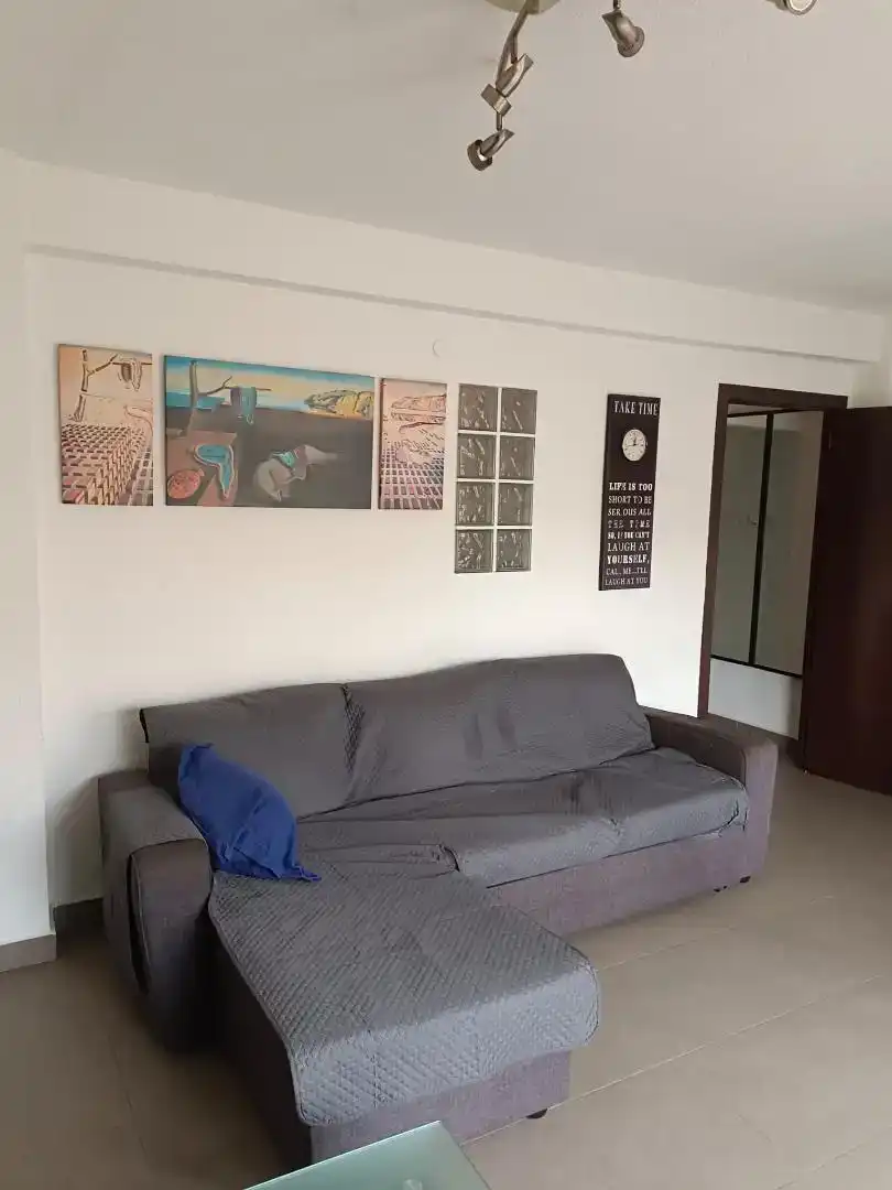 Sala d'estar de Pis de lloguer en Elche / Elx amb Moblat, Forn i Rentadora
