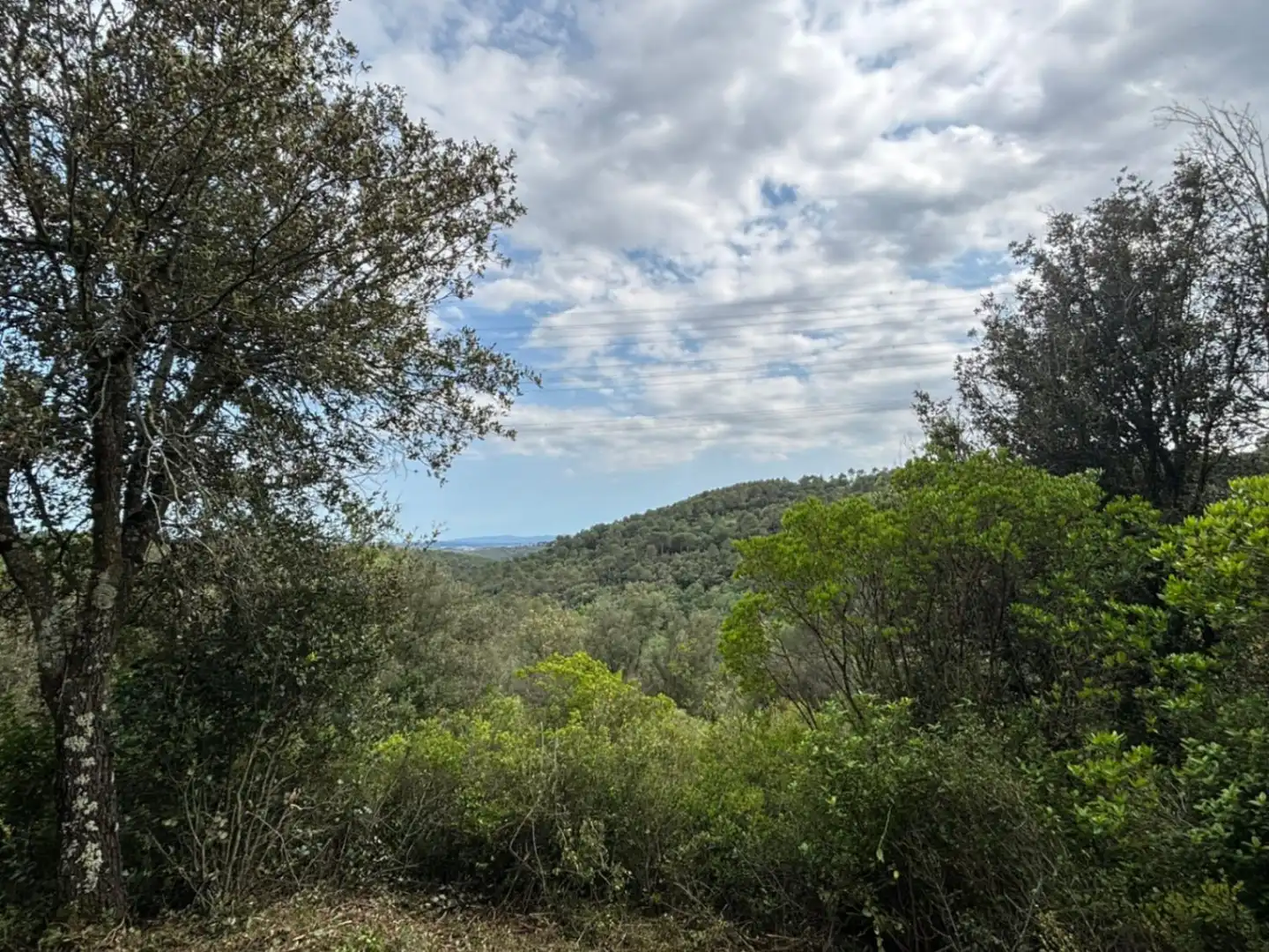 Finca rústica en venta en Palol de Revardit