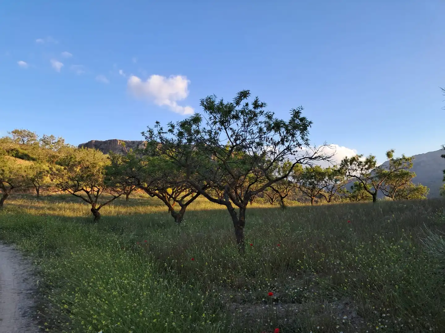 Vista exterior de Terreno en venta en Bayarque