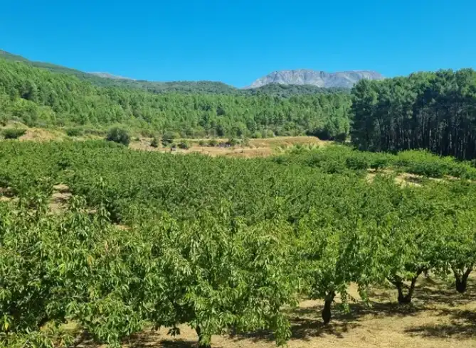 Terreni e lotti in vendita a Mombeltrán, imagen 4
