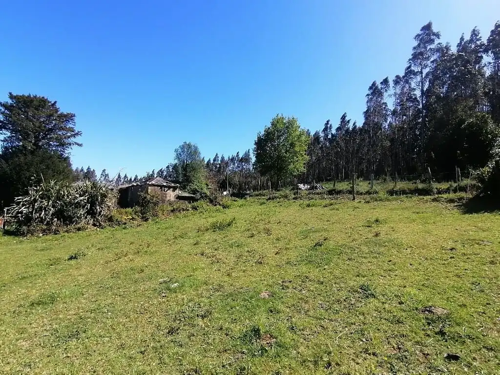 Finca rústica en venta en Cerdido con Jardín privado