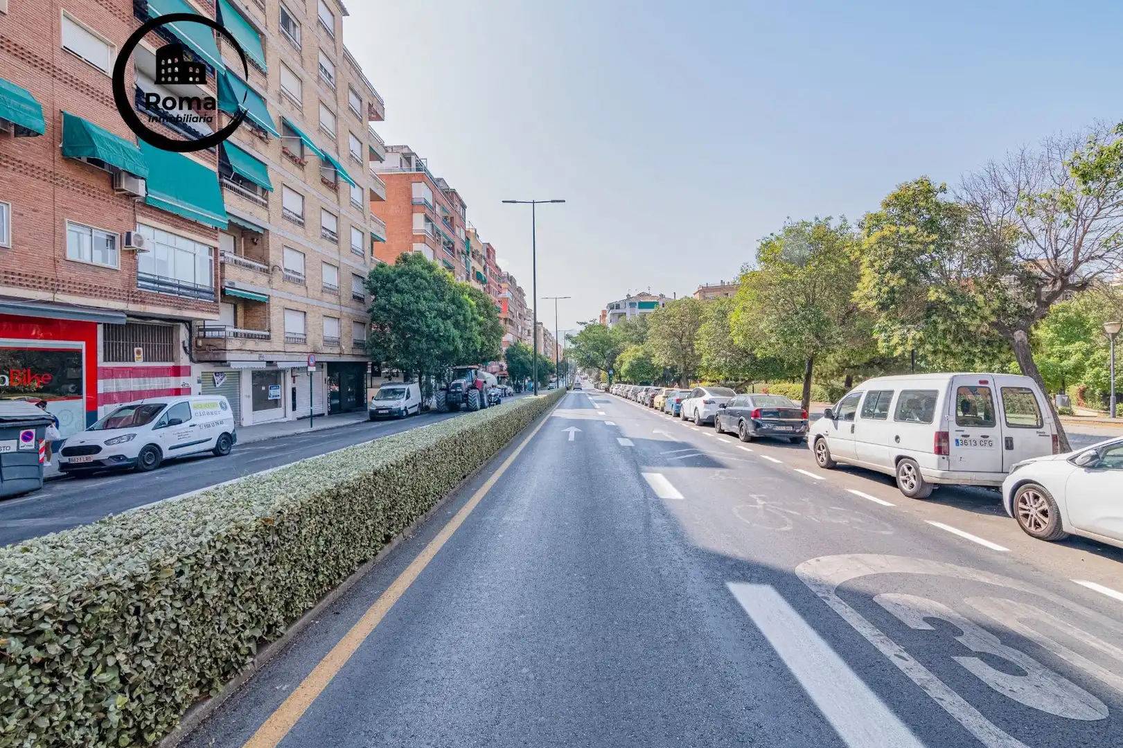 Local comercial en venta en Calle PROFESOR TERCEDOR DIAZ 4, imagen 4