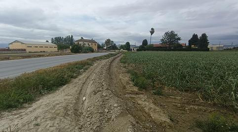 Photo 3 of Land for sale in  Polígono 8 Parcela 1 P Bajo. Vegas del Genil (gra, Purchil, Granada
