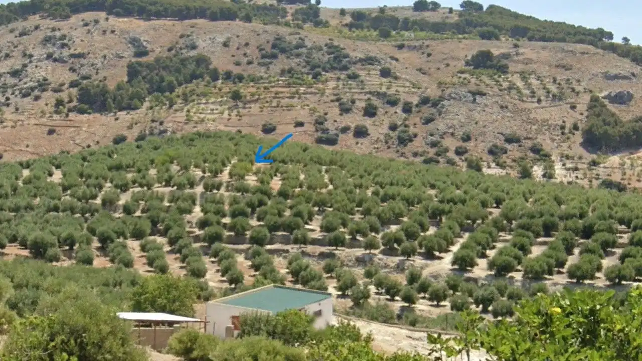 Lands and plots for sale in Pegalajar