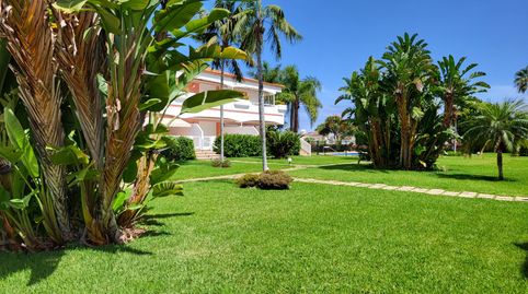 Photo 5 of Attic for sale in Zona Botánico, Puerto de la Cruz