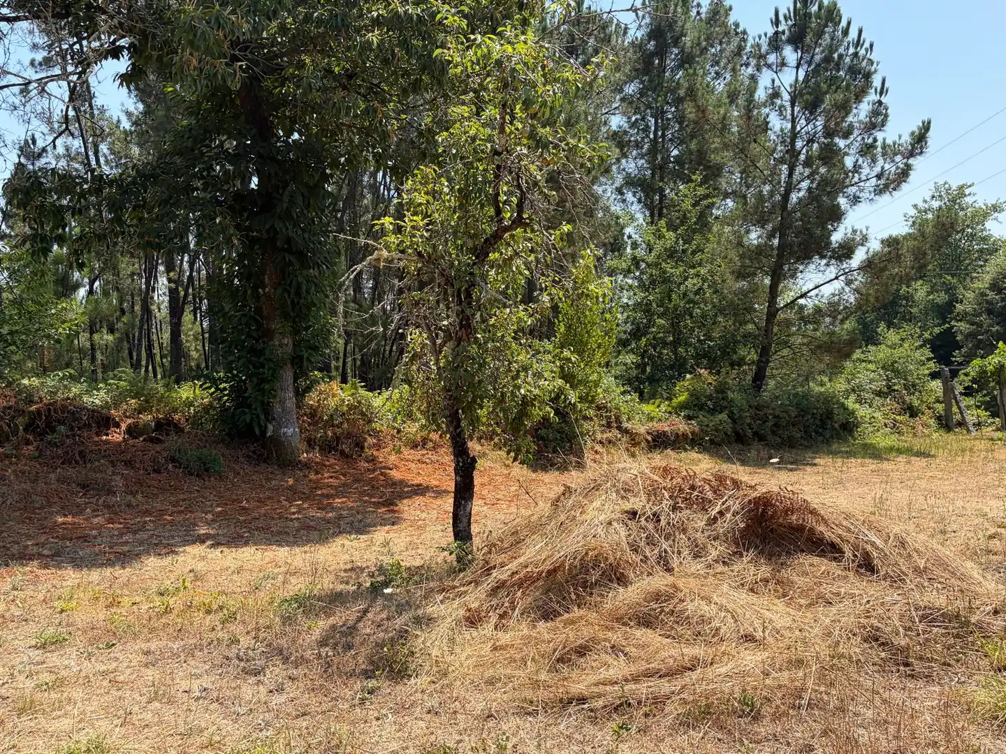 Casa o xalet en venda en Salvaterra de Miño amb Jardí privat i Parquet