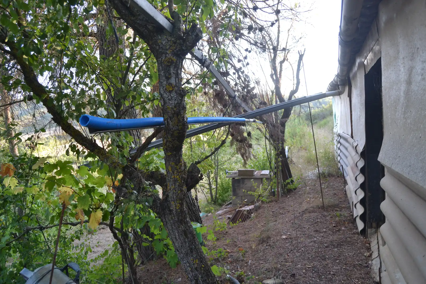 Terreni e lotti in vendita a Jasa, imagen 20